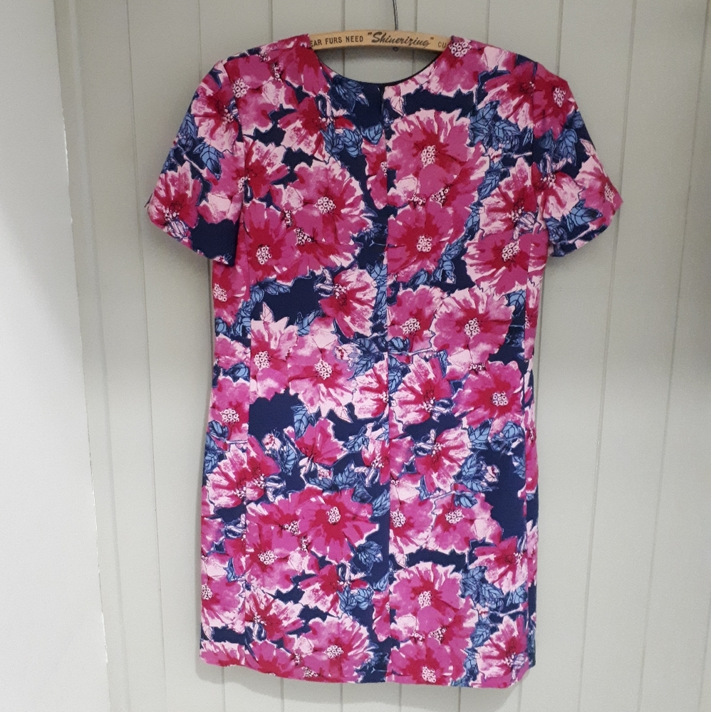 Aritzia Babaton Patricio Dress